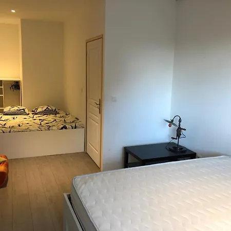 Le Domaine Des Zoiseaux - Lddz Des Flandres *